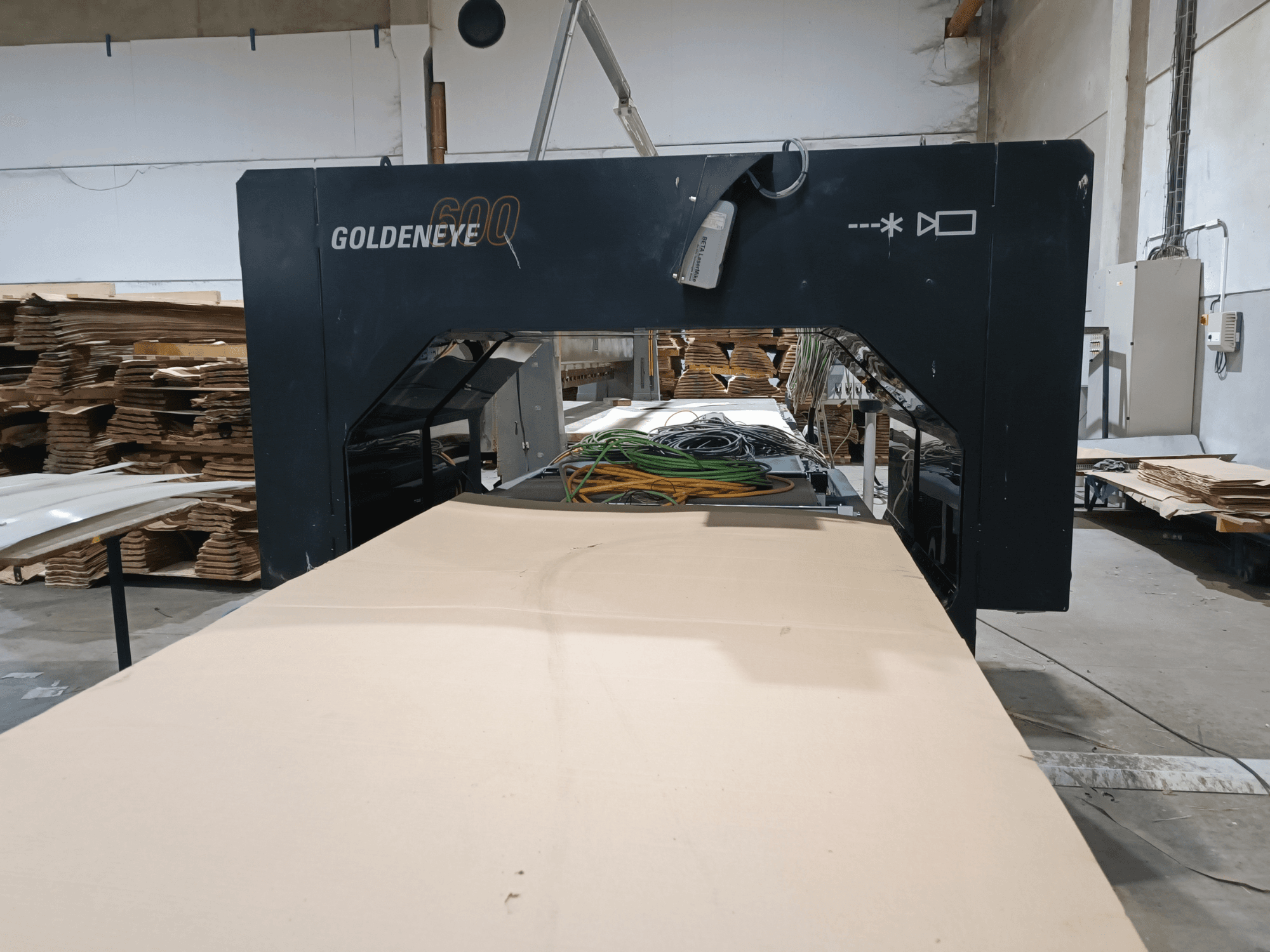 Деревообрабатывающий станок Microtec GOLDENEYE GLD 600 DSC вид спереди, с большой режущей поверхностью и оборудованием в мастерской.